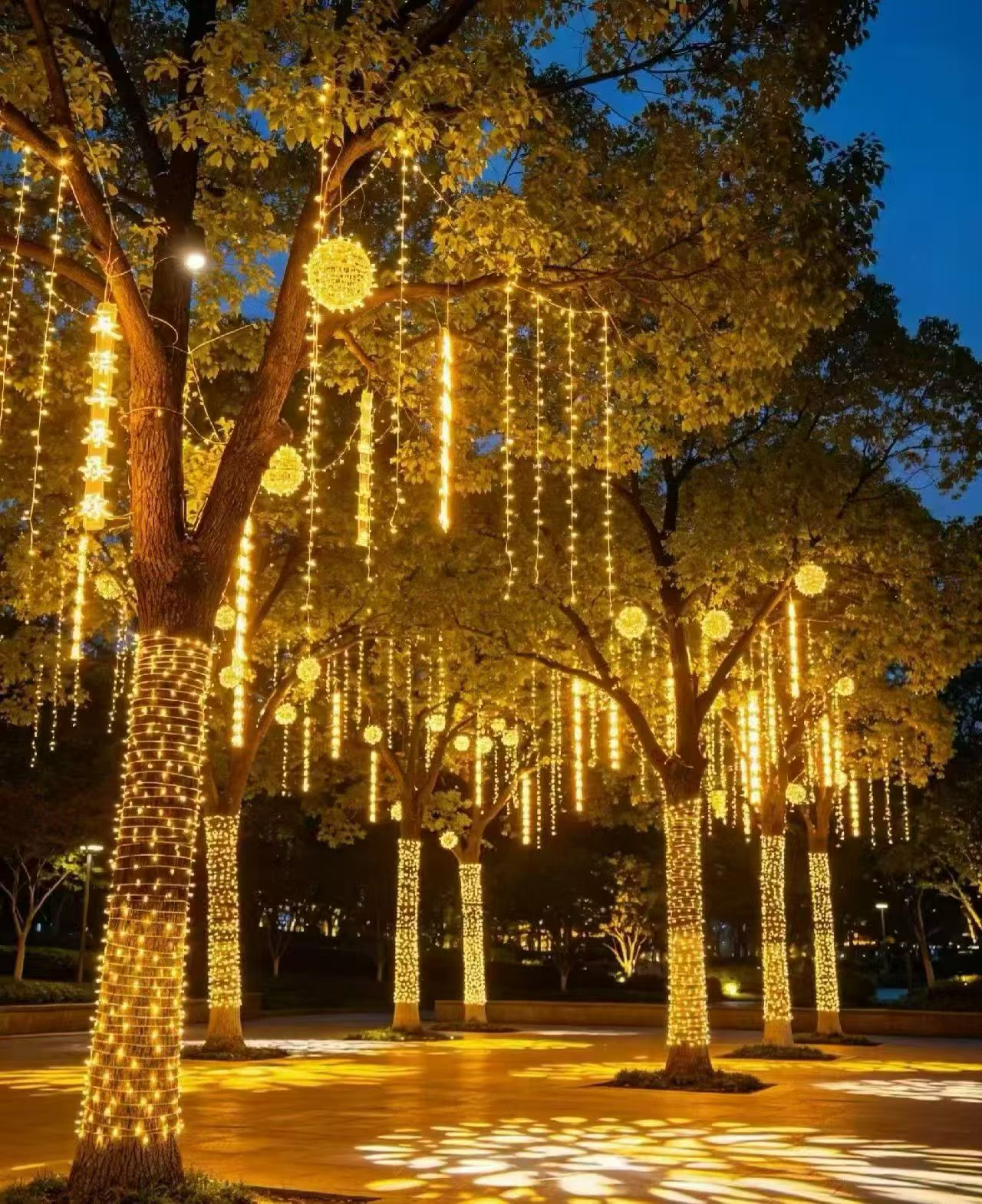 Warm golden lighting draped through trees in an outdoor setting