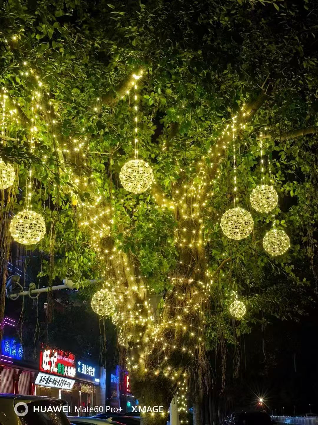 Trees decorated with warm lights and glowing woven spheres